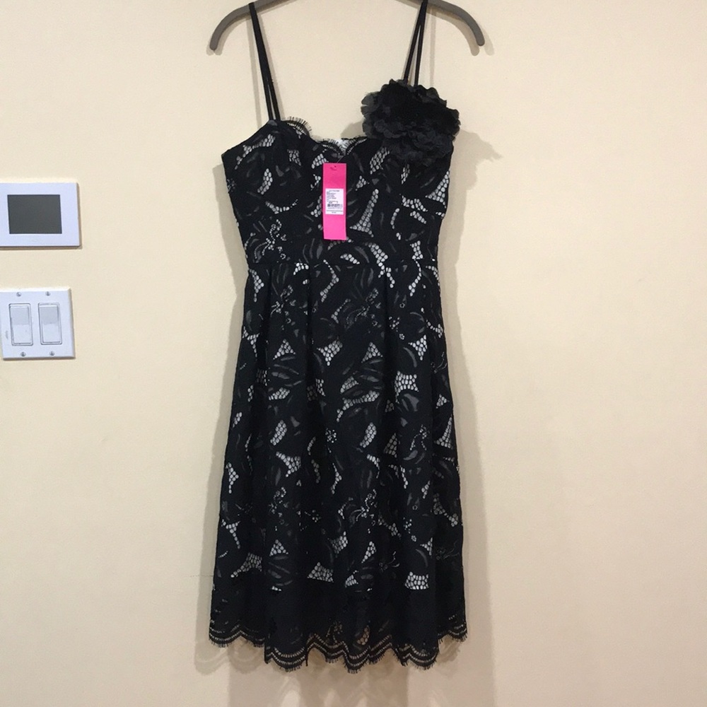 Lilly Pulitzer gorgeous dress. Brand new w/tags